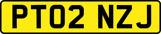 PT02NZJ