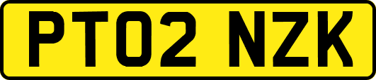 PT02NZK