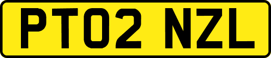 PT02NZL