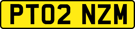 PT02NZM