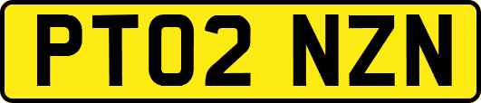 PT02NZN