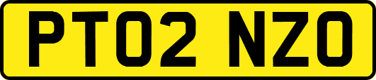 PT02NZO