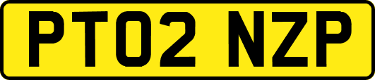 PT02NZP