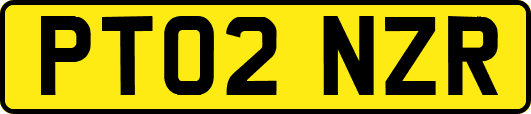 PT02NZR