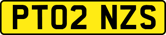 PT02NZS