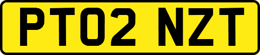 PT02NZT