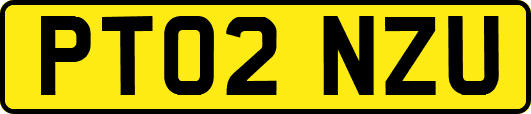 PT02NZU