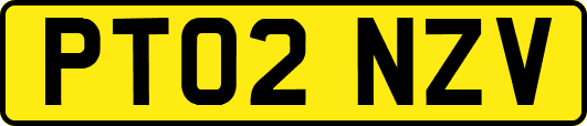 PT02NZV