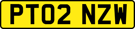 PT02NZW