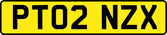 PT02NZX
