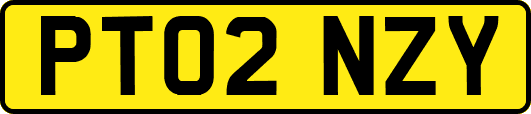 PT02NZY