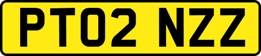 PT02NZZ