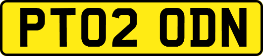 PT02ODN