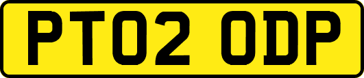 PT02ODP