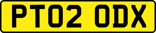 PT02ODX