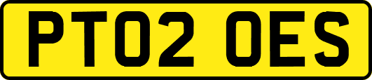 PT02OES