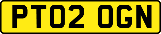 PT02OGN