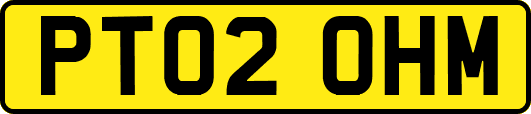 PT02OHM