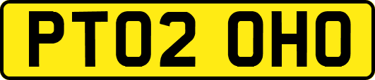 PT02OHO