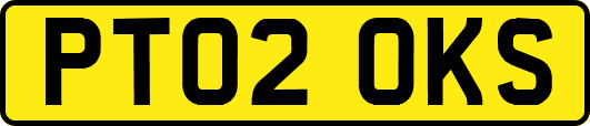 PT02OKS