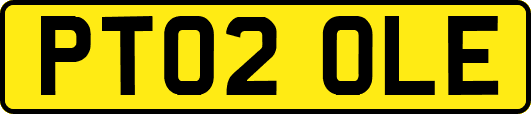 PT02OLE