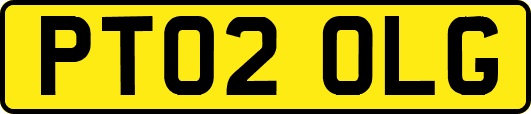 PT02OLG