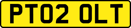 PT02OLT
