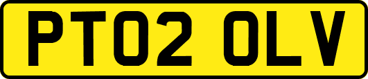 PT02OLV