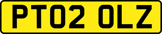 PT02OLZ