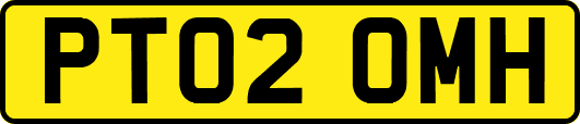 PT02OMH
