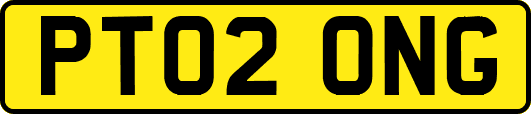 PT02ONG