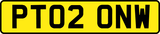 PT02ONW