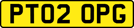 PT02OPG