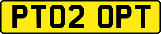 PT02OPT