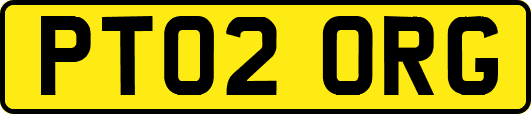 PT02ORG