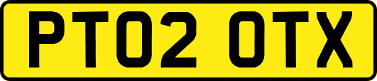 PT02OTX