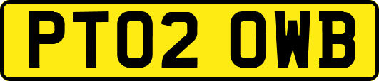 PT02OWB