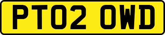PT02OWD