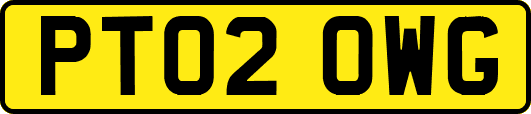 PT02OWG