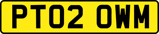 PT02OWM