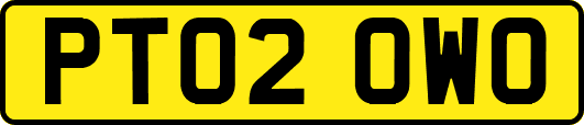 PT02OWO
