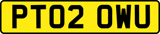 PT02OWU