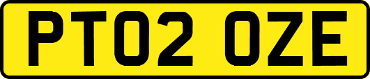 PT02OZE