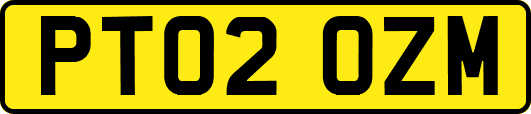 PT02OZM