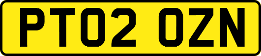 PT02OZN