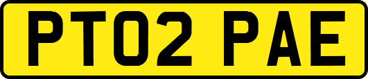 PT02PAE