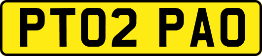 PT02PAO