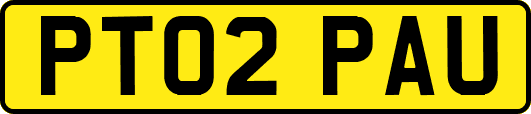 PT02PAU