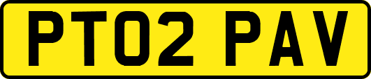 PT02PAV