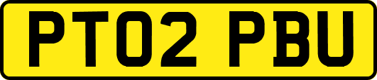PT02PBU